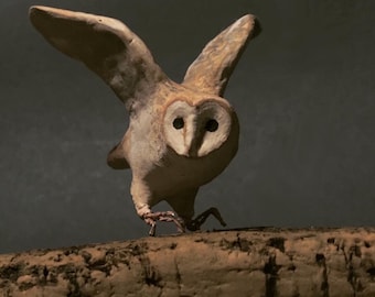 Little Barn Owl