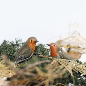 May include: Two small, hand-painted robin figurines perched on a bed of moss and dried grasses. The robins are painted in shades of green, brown, and orange.