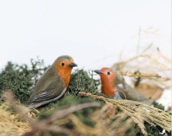 Tiny Robin