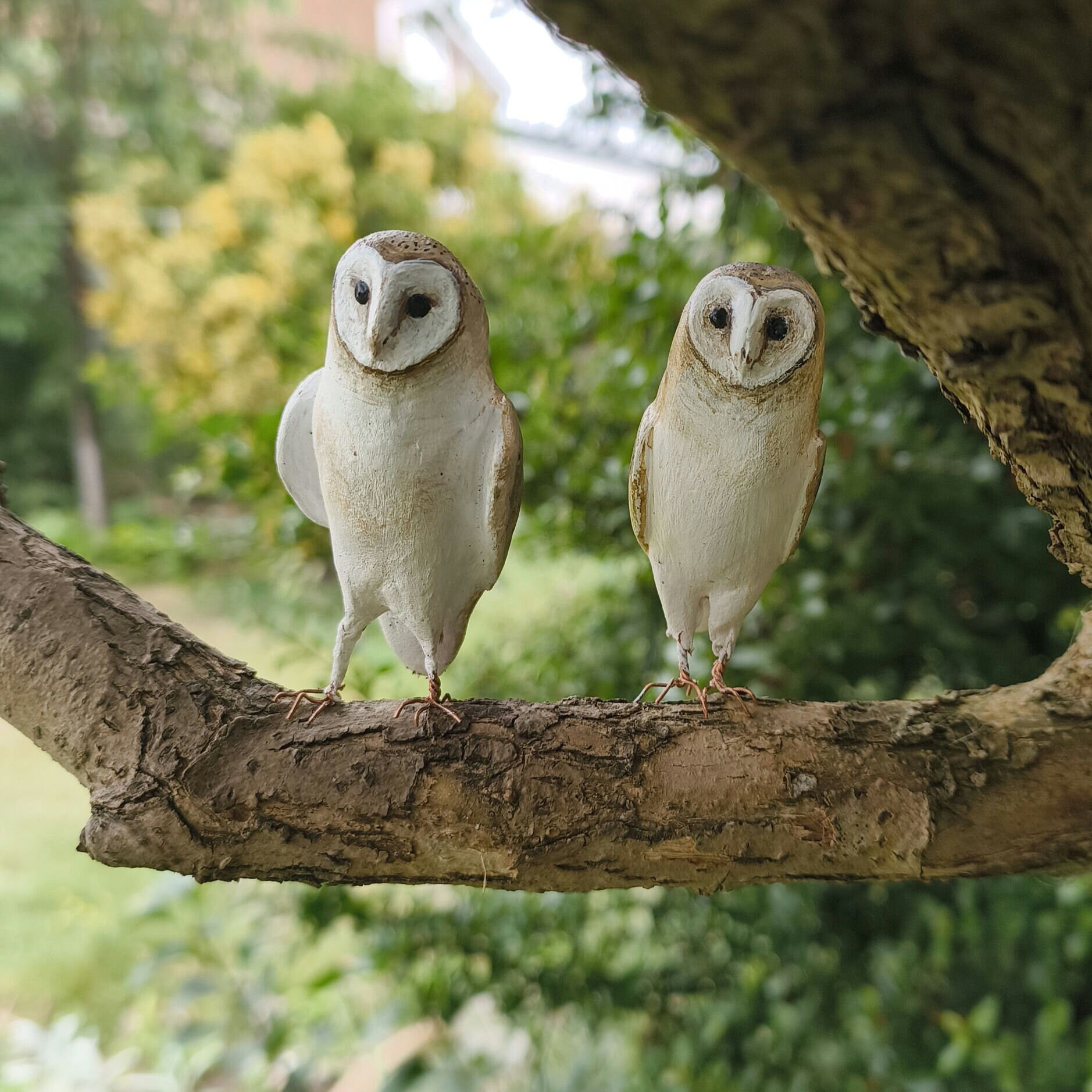 Little Barn Owl - Etsy