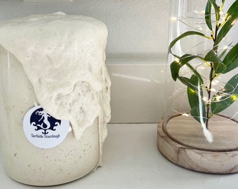 ORGANIC Sourdough Starter