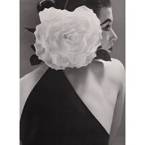 Richard Avedon - Barbara Mullen, 1951