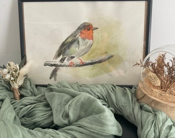 Robin