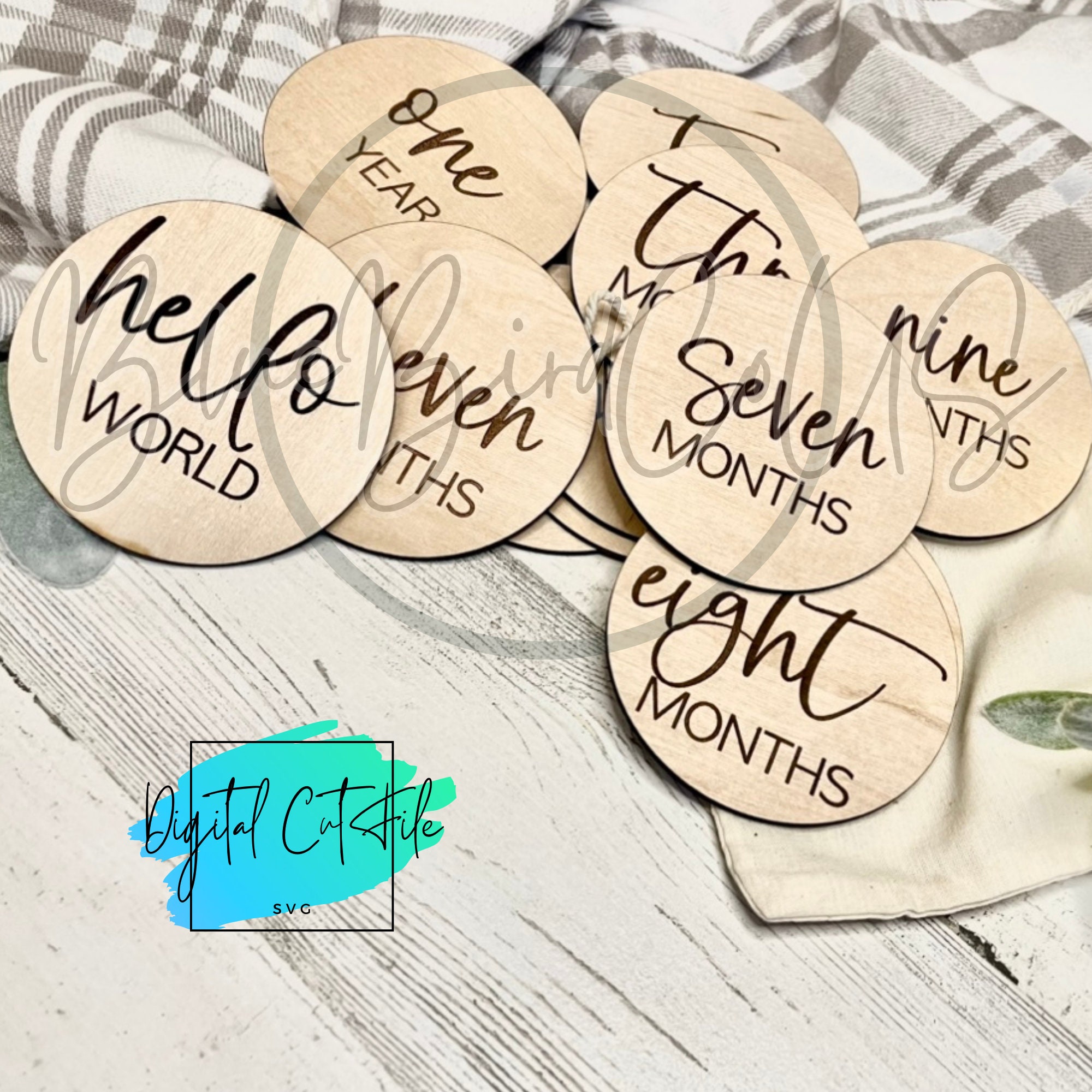 Baby Monthly Milestone Svg Disc Bundle, Baby Monthly Milestone Rounds ...
