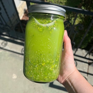 May include: A clear glass mason jar filled with a vibrant green liquid and small, light green particles. The jar has a silver lid and is held by a person's hand. The contents appear to be a refreshing beverage.