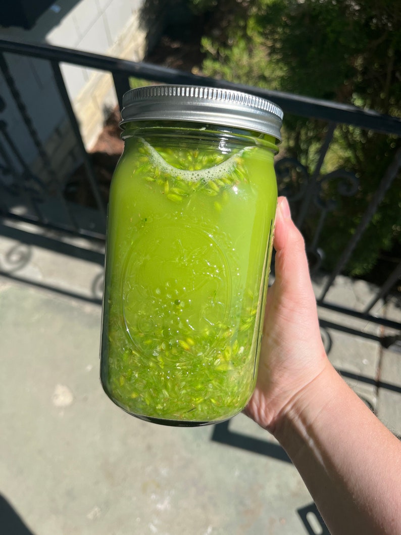 May include: A clear glass mason jar filled with a vibrant green liquid and small, light green particles. The jar has a silver lid and is held by a person's hand. The contents appear to be a refreshing beverage.
