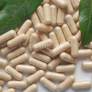 Puede incluir: Primer plano de numerosas c&aacute;psulas beige, posiblemente suplementos, dispuestas sobre una superficie. Las c&aacute;psulas son cil&iacute;ndricas con extremos redondeados. Se ven hojas verdes, aportando un elemento natural. La imagen est&aacute; bien iluminada.