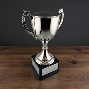 Silberne Trophäentasse Verschiedene Größen Trinkbare Trophäentasse Fantasie Trophäentasse Silber Ewige Trophäe Reisen Metalltrophäe Updates Klein Groß