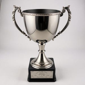 Silberne Trophäentasse Verschiedene Größen Trinkbare Trophäentasse Fantasie Trophäentasse Silber Ewige Trophäe Reisen Metalltrophäe Updates Klein Groß