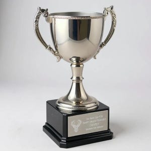 Silberne Trophäentasse Verschiedene Größen Trinkbare Trophäentasse Fantasie Trophäentasse Silber Ewige Trophäe Reisen Metalltrophäe Updates Klein Groß