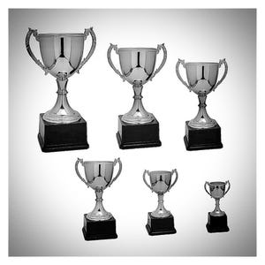 Pu&ograve; includere: Una collezione di sei trofei d'argento di varie dimensioni. Ogni trofeo presenta una parte superiore a forma di coppa con manici decorati, un gambo sottile e una base nera. I trofei sono disposti su uno sfondo bianco.