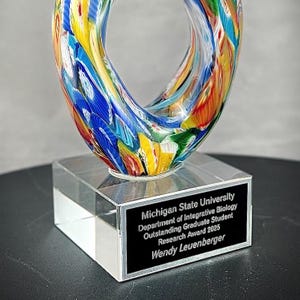 Glass Trophy, Multi Colored Art Glass Award, Corporate Award, Hand Blown Artistic Glass Award, Custom Engraved Rainbow Award, LGBTQ Gift