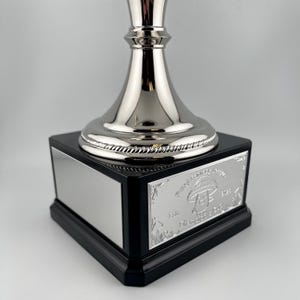Pu&ograve; includere: Un trofeo d'argento con base nera. Il trofeo ha una finitura metallica lucida e presenta un design decorativo sulla base. La base ha una placca d'argento con testo inciso e una grafica a fungo. Un trofeo per una competizione.