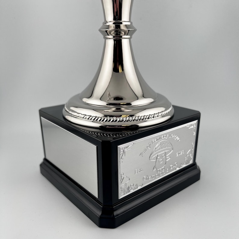 Pu&ograve; includere: Un trofeo d'argento con base nera. Il trofeo ha una finitura metallica lucida e presenta un design decorativo sulla base. La base ha una placca d'argento con testo inciso e una grafica a fungo. Un trofeo per una competizione.
