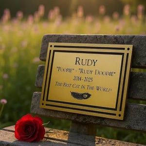 Engraved Gold Nameplate, Brass Plaque Cast Bronze Memorial Plate, Gold Plaque, Bench Plaque, Heavy Duty Engraved Brass with Logo, Metal Sign