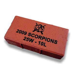 Pavimento conmemorativo de ladrillo rojo grabado a medida, ladrillo grabado para donaciones, adoquín personalizado, grabado a medida de 4 x 8, ladrillo de regalo de 8 x 8