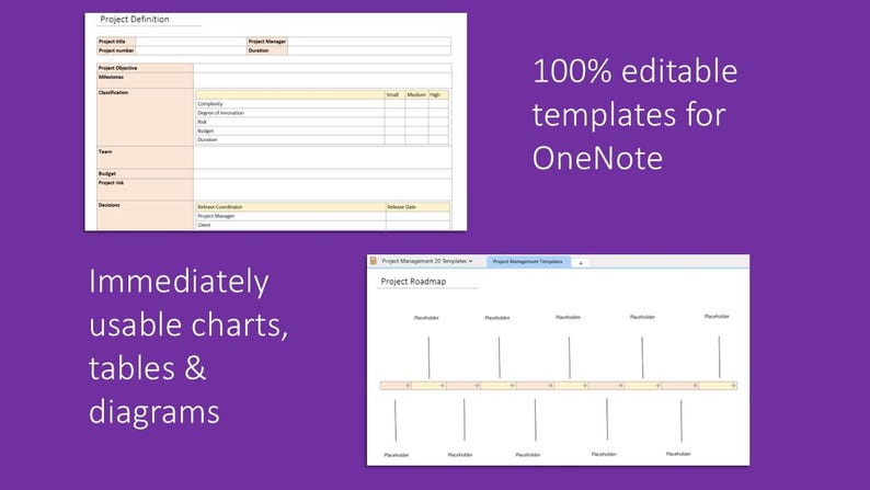 Onenote Project Management Template - Etsy