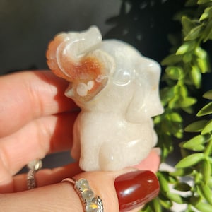 Wunderschöne handgeschnitzte Karneol Blume Achat Elefant mit Druzy, Natur