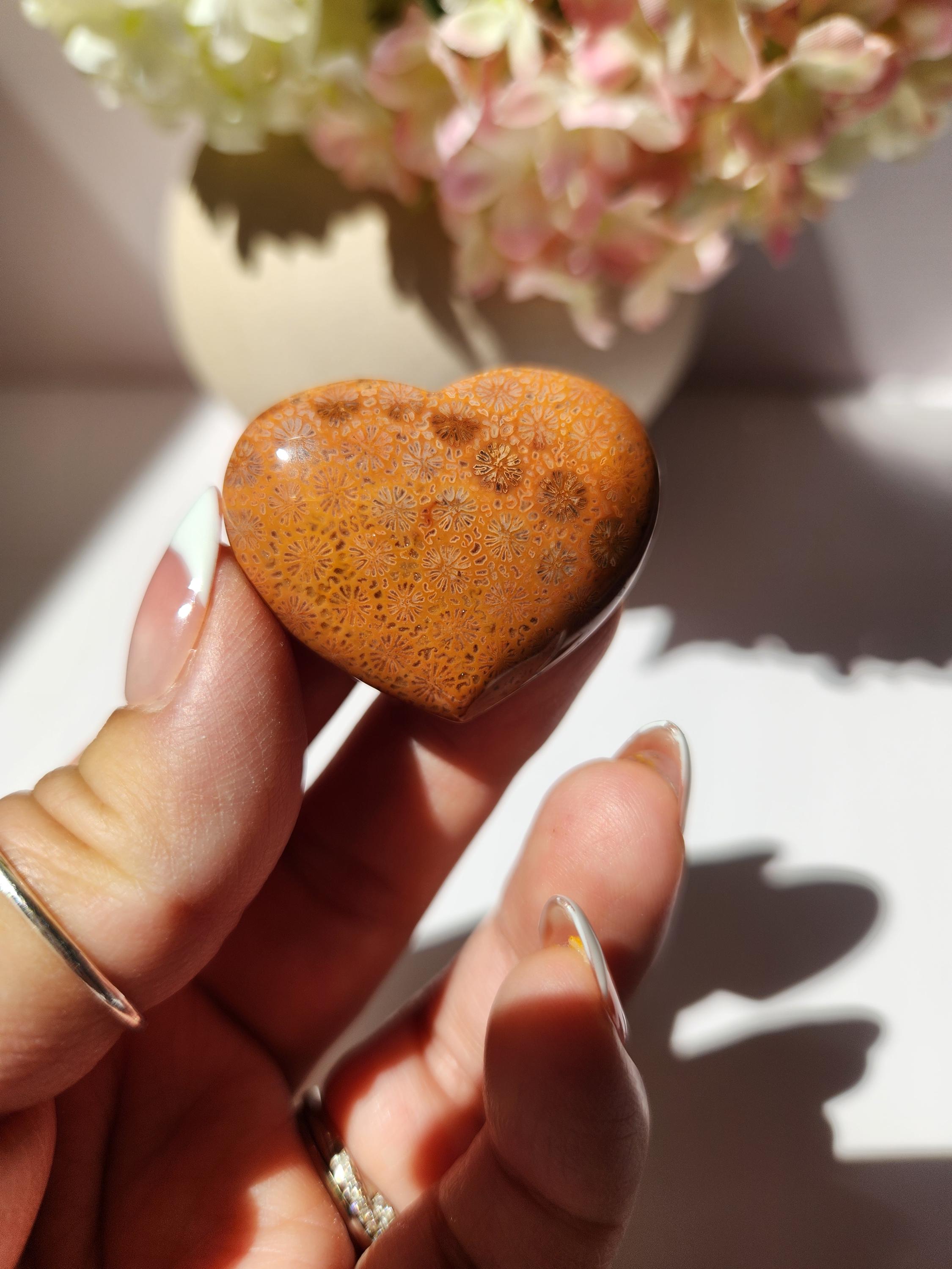 Fossil Coral Heart - Etsy