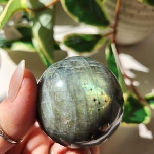 May include: A polished labradorite sphere, displaying a play of colour. The sphere has a mix of grey, blue, and green tones with a subtle shimmer. The gemstone is held in a hand, with a blurred background of green and white foliage.