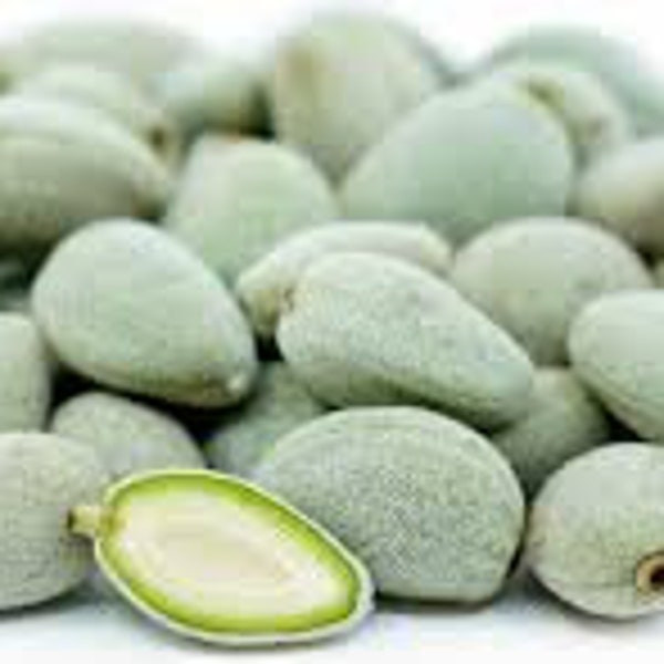 HOT ITEM Green Almond - Fresh Unriped Almonds 1 lb