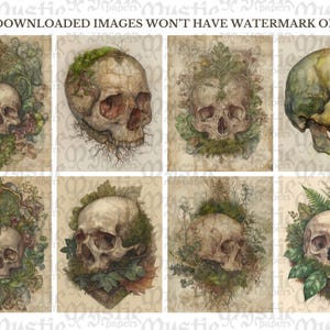 May include: A collection of eight vintage-style illustrations featuring human skulls. Each skull is depicted with varying degrees of detail, some adorned with foliage, moss, or floral elements. The artwork has a muted color palette, with a focus on earthy tones and a distressed paper texture.