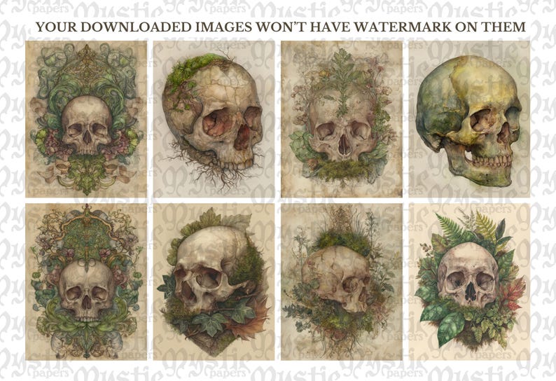 May include: A collection of eight vintage-style illustrations featuring human skulls. Each skull is depicted with varying degrees of detail, some adorned with foliage, moss, or floral elements. The artwork has a muted color palette, with a focus on earthy tones and a distressed paper texture.