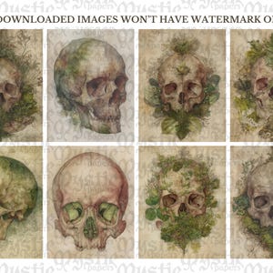May include: A collection of eight watercolor illustrations of human skulls, each with unique variations in color and detail. Some skulls are adorned with botanical elements, set against a vintage paper background. The text "YOUR DOWNLOADED IMAGES WON'T HAVE WATERMARK ON THEM" is visible.