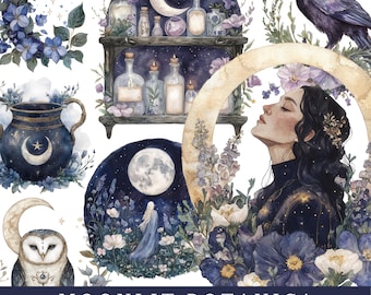 Moonlit Botanica Clipart, Witchy Floral PNG, Celestial Apothecary Graphics, Midnight Witch Art, Mystical Fantasy Illustration Stickers Kit