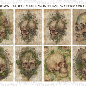 May include: A collection of eight watercolor illustrations featuring skulls. The skulls are depicted in various compositions, some adorned with foliage and plants. The color palette includes earthy tones of brown, green, and beige, with the text "YOUR DOWNLOADED IMAGES WON'T HAVE WATERMARK ON THEM".