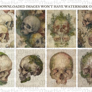 May include: A collage of eight watercolor illustrations of skulls. The skulls are depicted in various styles, some with moss and foliage, others with floral backgrounds. The text "YOUR DOWNLOADED IMAGES WON'T HAVE WATERMARK ON THEM" is at the top.