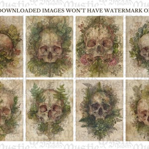 May include: A collection of eight vintage-style prints featuring skull illustrations surrounded by botanical elements. The skulls are depicted in a realistic style, with detailed bone structure and shading. The prints have a muted color palette with a distressed paper background.
