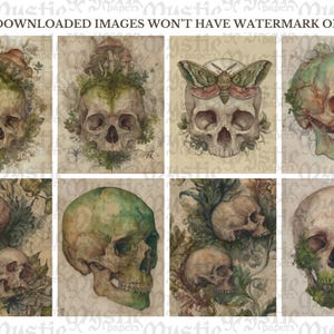 May include: A collection of eight watercolor illustrations featuring skulls with botanical elements. The skulls are depicted in various states of decay, with some adorned with mushrooms, foliage, or a moth. The color palette includes earthy tones of green, brown, and beige.