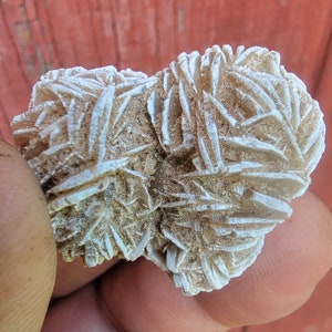 Selenite Desert Rose Cluster