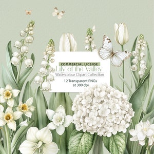 Clipart de buquê de lírio do vale, lilyvalley, pacote de clipart de lírio do vale, mês de aniversário do lírio do vale, chá de panela, casamento