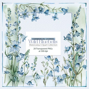 Collection de cliparts aquarelle de jacinthes des bois sauvages