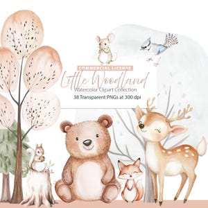 Clipart forêt aquarelle, clipart portraits forêt aquarelle, clipart animaux mignons, bébés animaux, chambre de bébé des bois, animal de la forêt bohème