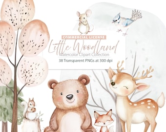Watercolor Woodland Story Clipart, cute woodland png, Cute Animals, Baby Animals, Woodland Nursery, Boho Forest Animal, Forest Creatures