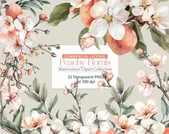 Peachy Florals Watercolour ClipArt Collection