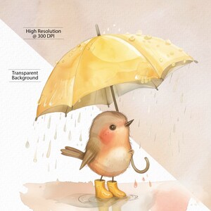 Baby Robin in the Rain, Yellow Umbrella, Yellow boots