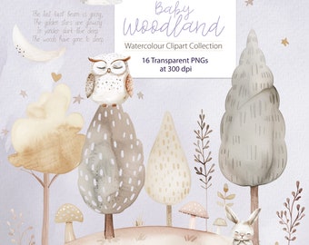 Watercolor Woodland Clipart, Watercolor Woodland Portraits Clipart, Cute Animals Clipart, Baby Animals, Woodland Nursery, Boho Forest Animal