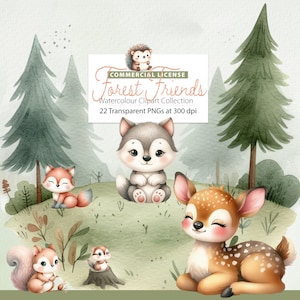 Waldtiere Aquarell Clipart, Waldtiere Clip Art, Kinderzimmer Dekor, Bär, Box, Baby Wolf, Igel, Eichhörnchen, Reh, Streifenhörnchen, Maus