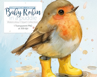Bebé Robin en un charco acuarela ClipArt Single