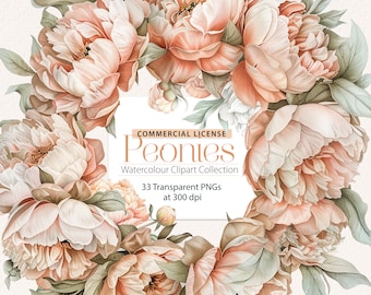 Peach Peonies Watercolour ClipArt Collection
