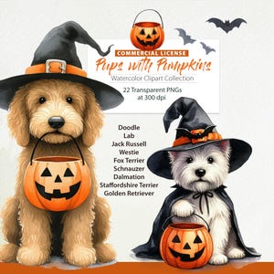 Halloween Hunderassen Clipart, Hund Halloween Eimer png, süße Halloween Hunde, Golden Doodle, Hund Kürbis Candy Bucket, Halloween Hund Clipart