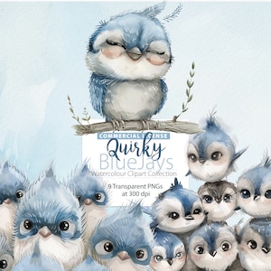 Collection originale de cliparts aquarelle BlueJays