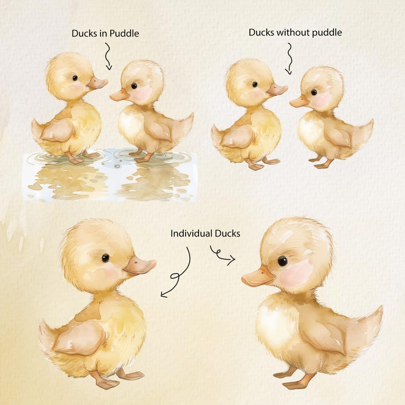 Baby Ducks in a puddle, ducklings, yellow ducks, nursery art, duck clipart, baby shower clipart
