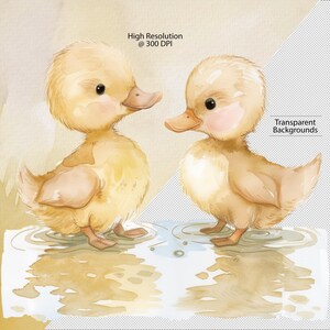 Baby Ducks in a puddle, ducklings, yellow ducks, nursery art, duck clipart, baby shower clipart