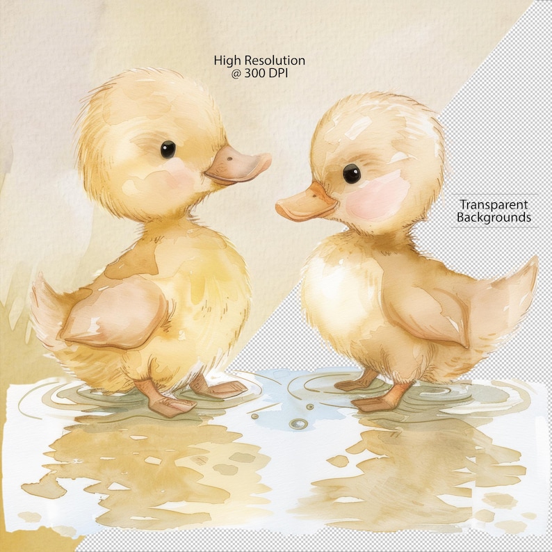 Baby Ducks in a puddle, ducklings, yellow ducks, nursery art, duck clipart, baby shower clipart