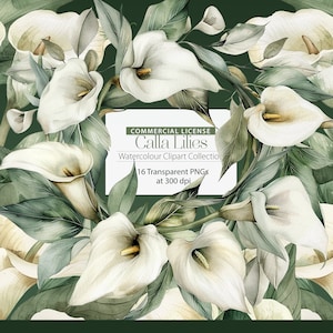 Collection de cliparts aquarelle de lys calla